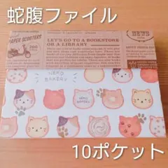 『専用』おすそ分けファイル　（先発送4冊分） 専用』おすそ分けファイル （先発送4冊分） 専用』おすそ分け