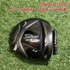 ヘッドのみ　Titleist 917D2 ドライバー 1W9.5° タイトリスト