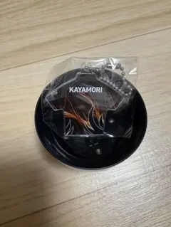 Item thumbnail for item c5f46d45-f7c9-471b-83da-0da90d23923d