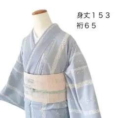 洗える絽の訪問着 2026年最新】洗える 絽 訪問着の人気アイテム - メルカリ