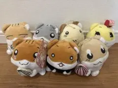 2025年最新】しげっち ぬいぐるみの人気アイテム - メルカリ