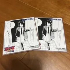 ジャンプフェア 2025 アニメイト 色紙 ルリドラゴン