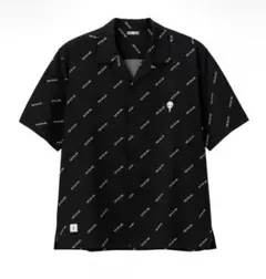 Item thumbnail for item 0040a2d4-7bfe-4d3f-95fd-a22250bbec08