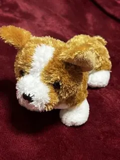 犬 ぬいぐるみのサムネイル