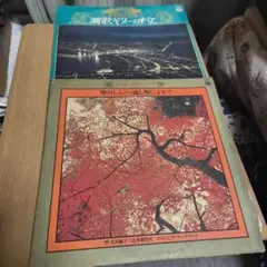 レコード　2枚セット