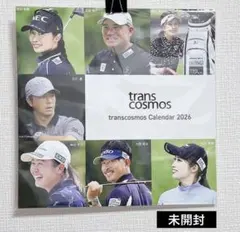 Item thumbnail for item b2f6689b-4834-4da7-8ec1-85813593b65c