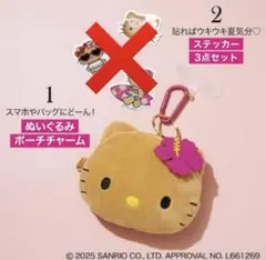 Sweet8月号 特別付録　日焼けキティ ぬいぐるみポーチ