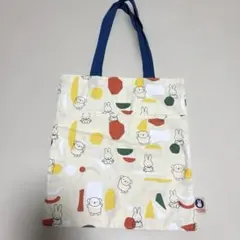 Item thumbnail for item c9fd2343-0c74-4ab0-956d-0721bbed6204