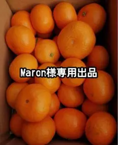 Maron様専用出品