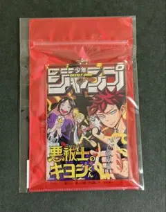 ゆきちょろ様 リクエスト 2点 まとめ商品