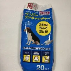 Item thumbnail for item a586b7ab-a235-42fe-b0f0-dffb0f2556c1