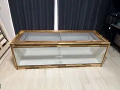 【直接取引の場合30000円】大型爬虫類ケージ【幅1650×高550×奥600】のサムネイル