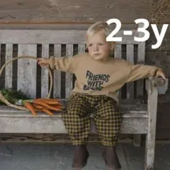 organic zoo Gingham Carrot Pants