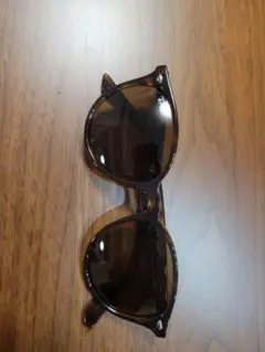 Ray-Ban ブラウン サングラス ケース付き