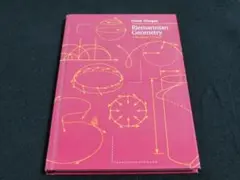 【Riemannian Geometry】A Beginner's Guide