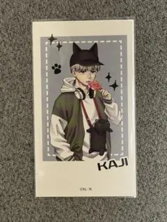 【サーモン派 さま専用】