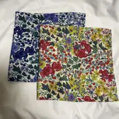 Item thumbnail for item 6c5cc887-1f92-4d09-a8e8-9fd6ee8a0ae4