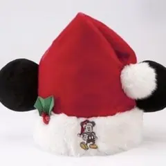 東京ディズニーリゾート クリスマス ミッキー サンタ帽子