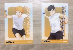 ハイキュー　アニメイト特典　水遊び　ポストカード　日向　影山