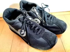 Item thumbnail for item 172203ae-2cee-4302-9460-238b553fa328