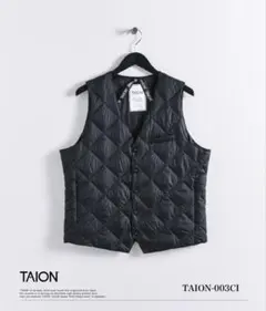 taion ダウンベスト