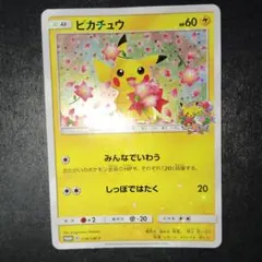 2026年最新】227/SM-P ピカチュウの人気アイテム - メルカリ