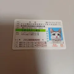 なめ猫運転免許証風カード 又吉のサムネイル