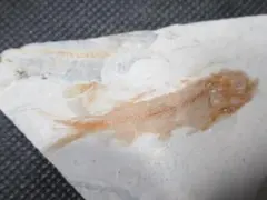 あおい様 リクエスト 2点 まとめ商品