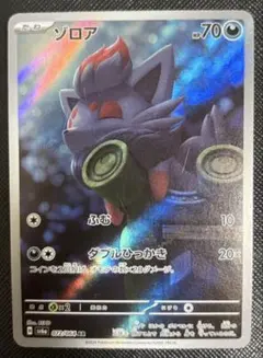 ナイトワンダラー