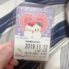 ディズニーリゾートライン切符 ドナルドデイジー雪だるま柄 〖使用済み〗