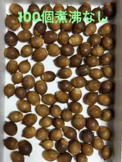 Item thumbnail for item c5155c62-ba21-4a96-80f4-e41744f1aad3