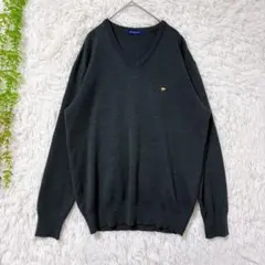 E561 ゴールデンベア 日本製 Vネック刺繍ニット セーターLアースカラー 毛のサムネイル