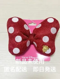 【新品未使用】ヘアゴム　ヘアクリップ　ヘアピン　ミニー　赤ドット　水玉