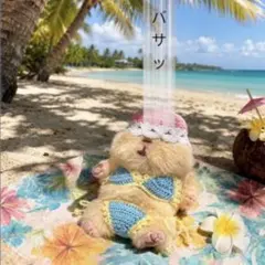 はむにぎり ビキニ くらげ 海 ビーチ ぬいぐるみ - メルカリ