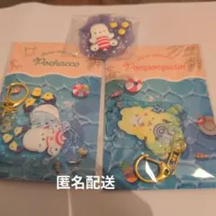 サンリオ　ぷかぷかアクリルキーホルダー　ポチャッコ　ポムポムプリン　おまけ付き