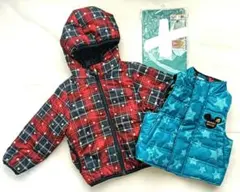 Item thumbnail for item b3fc2d43-74f2-4364-99cf-464980db1d58