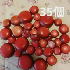 Item thumbnail for item 762e5982-b9e1-43c2-946f-0c722dad67df