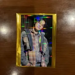 SEVENTEEN セブチ タワレコ ラキドロ トレカ ディノ