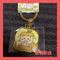 ご当地限定★ちいかわ★うさぎ★千葉・市川市限定★梨★ダイカットキーホルダー