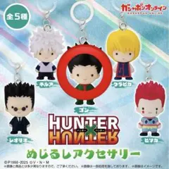 HUNTER×HUNTER めじるしアクセサリー ゴン