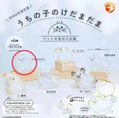 【新品】うちの子けだまだま☆犬☆ガチャ☆ポメラニアン【匿名配送】