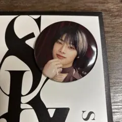 Stray Kids 缶バッチ