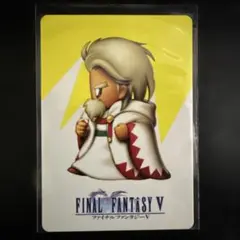 【FFV】【カードコレクションズ】No.74 白魔道士 ガラフ