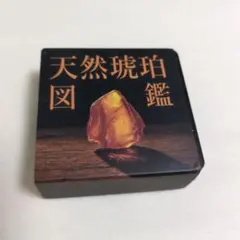 レア 聖帝十字文鎮 北斗の拳 サウザー シュウ 聖帝十字陵 ペーパー