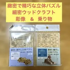 Item thumbnail for item ef8e93bb-dcd2-40fc-87e7-f0bda5b47212