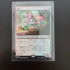 鮮麗 Vibrance 日本語版 MTG ローウィンの昏明 - メルカリ