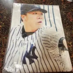 Item thumbnail for item 79fa7d6e-cfc0-4823-b734-4c4acc9ff309