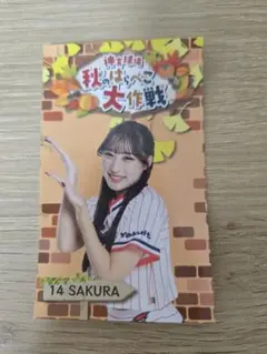 限定 秋のはらぺこ大作戦 神宮球場 東京ヤクルトスワローズ SAKURA