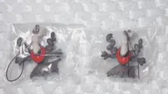 ポケモン ぺたんこマスコット Color : Black ダークライ2点セット