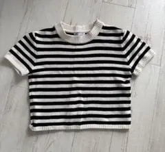 ZARA ボーダー 半袖 ニット クロップド丈